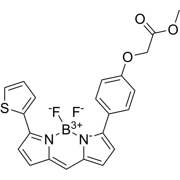 BODIPY TR methyl ester 150152-63-9